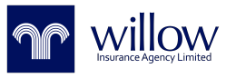Company Name